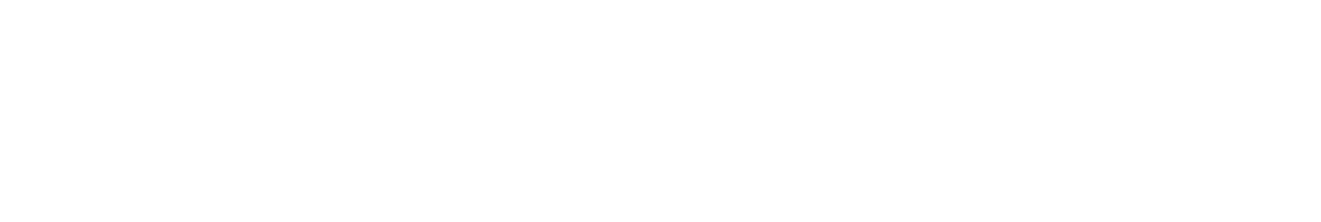 iComponent Software Logo